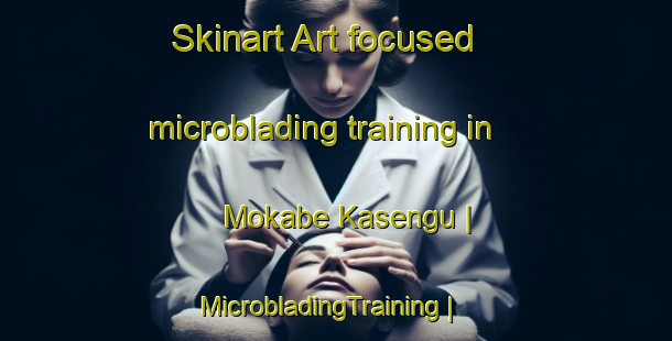 Skinart Art-focused microblading training in Mokabe Kasengu | MicrobladingTraining | MicrobladingClasses | SkinartTraining-the Democratic Republic of the Congo